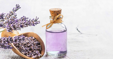 Lavanta Yağının Faydaları Nelerdir?