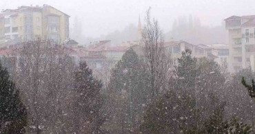 Leyleklerin Erken Göçü Sivas'ta Karla Buluştu