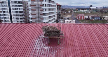 Leyleklerin Gecikmesi Öğrencileri Üzüyor