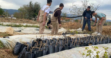 Lise Öğrencilerinden Tarıma Katkı: Emcelli Biberin Yeniden Üretimi