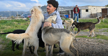 Lübnanlı Genç, Saldırılar Altındaki Bölgelerde Hayvanları Kurtarıyor