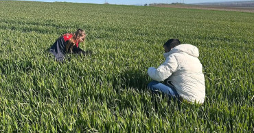 Lüleburgaz ve Pehlivanköy’de Hububat Tarlaları Takipte