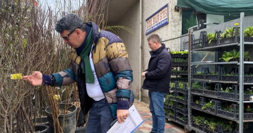 Lüleburgaz’da Fidan Satışı Denetimleri