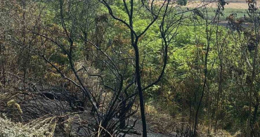 Lüleburgaz’da otluk alan yangını tarım arazisine sıçradı