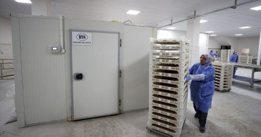 Malatya Tarhanası İhracata Hazırlanıyor