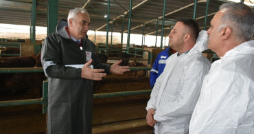 Malatya'da 1,5 Milyon Doz Hayvan Aşısı Uygulanacak