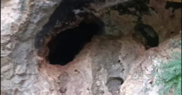 Malatya'da bir mağarada binlerce arının bal yapma anları kaydedildi