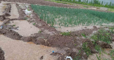 Malatya'da Dolu Yağışı Tarım Arazilerini Vurdu