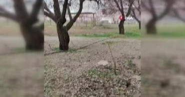 Malatya’da Dolu Yağışı Zorluklar Yaşattı