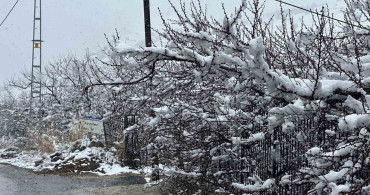 Malatya'da Kayısı Bahçeleri Karla Kaplandı