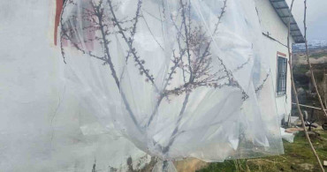 Malatya’da Kayısı Üreticileri Zirai Don Tehdidine Karşı Harekete Geçti