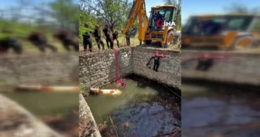 Malatya'da sulama havuzuna düşen gebe inek, itfaiye ekipleri tarafından kurtarıldı