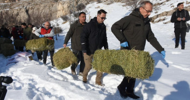 Malatya'da Yaban Hayvanları İçin Yem Bırakıldı
