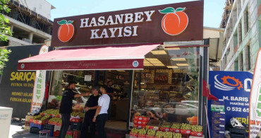 Malatya'da yaş kayısı tezgahlarda yerini aldı