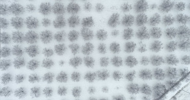 Malatya'nın Kayısı Bahçeleri Karla Kaplandı