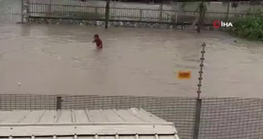 Malezya'da Şiddetli Yağışlar Sel Getirdi