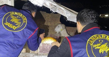 Manavgat'ta Küçükbaş Hayvan Hırsızlığı: 4 Gözaltı