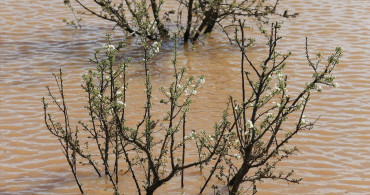 Manisa'da Sağanak ve Fırtına Sonrası Hasar Tespit Çalışmaları Devam Ediyor
