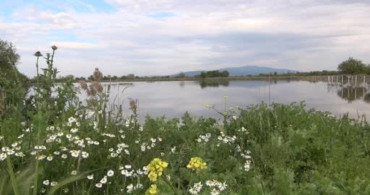 Manisa'da Sel Felaketi: TZOB Genel Başkanı Bayraktar İncelemelerde Bulundu