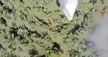 Manisa'daki orman yangını kontrol altına alındı