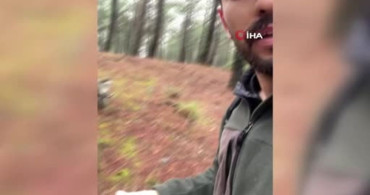 Mantar Ararken Karşılaştığı Maymunla İlginç Anılar