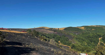 Manyas’ta çıkan anız ve orman yangını kontrol altına alındı