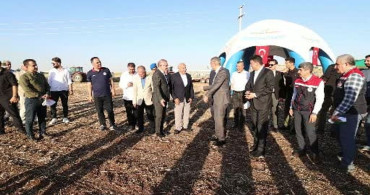 Mardin’de buğday ekimi 1 milyon 279 bin dekar alanı aştı