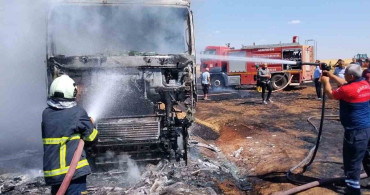 Mardin’de buğday yüklü tırda yangın çıktı