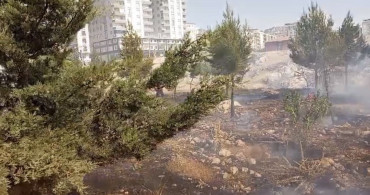 Mardin’de farklı noktalarda çıkan yangınlara müdahale sürüyor