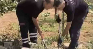 Mardin'de kuyuda bulunan yılan doğaya bırakıldı