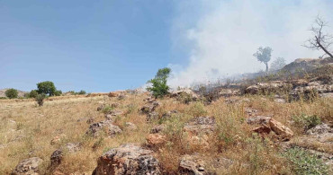 Mardin’de ormanlık alanda yangına müdahale ediliyor