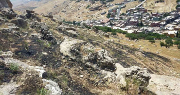 Mardin’de ormanlık alandaki yangın kontrol altına alındı