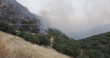 Mardin’deki örtü yangınları kontrol altına alındı