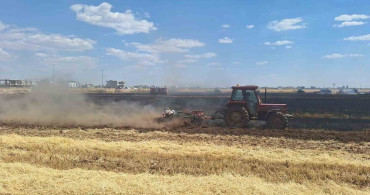 Mardin'deki Yangında 80 Dönüm Buğday Tarlası Yandı