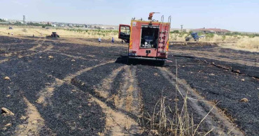 Mardin'in Kızıltepe ilçesinde buğday tarlasında yangın çıkışı