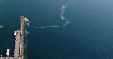 Marmara Denizi'nde 4 Metre Uzunluğunda Dev Köpek Balığı Yakalandı