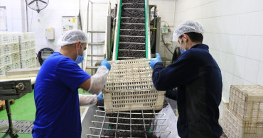 Marmarabirlik'in Orta Doğu Hedefi ve İhracat Rakamları