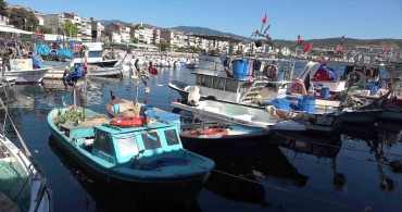 Marmara'nın balıkçıları müsilaj ve bilinçsiz avlanmadan şikayetçi