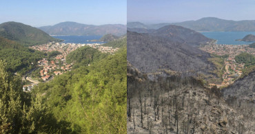 Marmaris İçmeler'den İçimizi Yakan Görüntüler Geldi