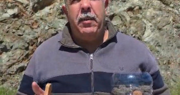 Marmaris'te Doğayı Yeniden Canlandırma Çabaları