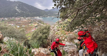 Marmaris'te Kayalıklarda Mahsur Kalan Hayvanlar Kurtarıldı