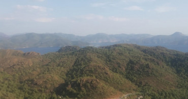 Marmaris'te Orman Yangını: Rüzgarın Etkisiyle  Büyümesinden Korkuluyor!