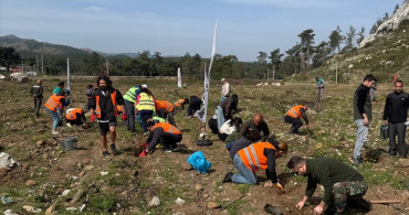 Marmaris'te Ormanın Yeniden Canlanması İçin Fidan Dikimi