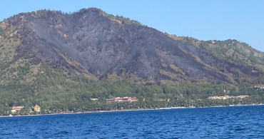 Marmaris'te Yanan Ormanlık Alana Yeni Ağaçlar Dikilecek