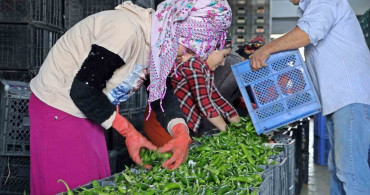 Mart Ayı Hal Endeksi Raporu Açıklandı