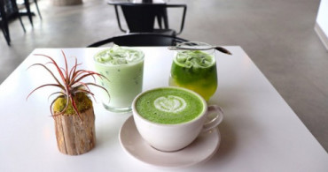 Matcha Çayı Neyden Yapılır? Matcha Çayının Yeşil Çaydan Farkı Nedir?