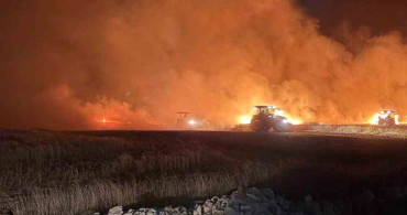 Mazıdağı’nda çıkan yangında buğday ve arpa ekili araziler zarar gördü