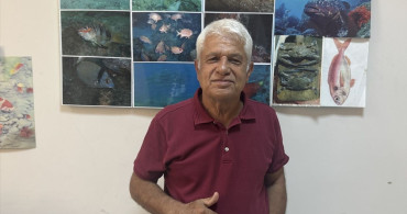 Meis Adası'nda Yavru Akdeniz Foku Görüntülendi