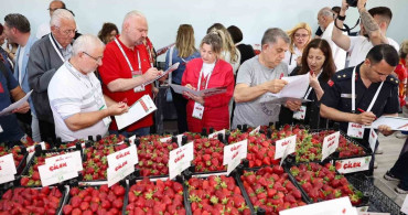 Menemen'de 16. Uluslararası Çilek Festivali Rüzgarı