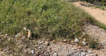 Menteşe'de Ateş Kazası Tehlikesi